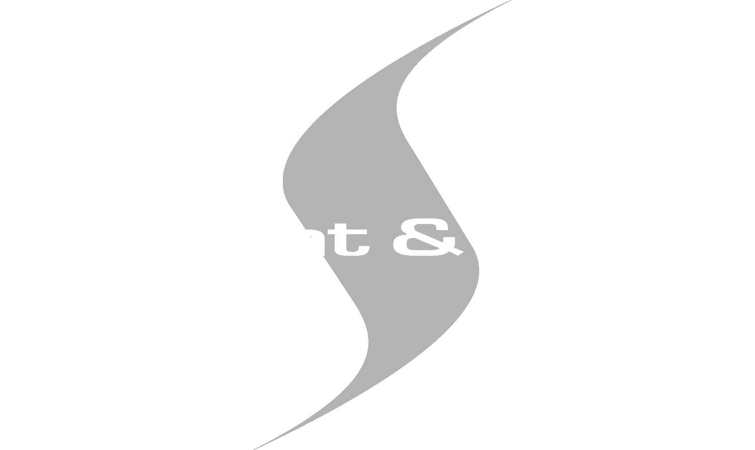 Sargent & Lundy logo